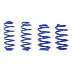 AP Tieferlegungsfeder Set