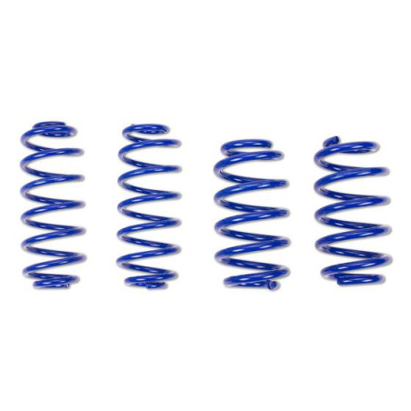 AP Tieferlegungsfeder Set